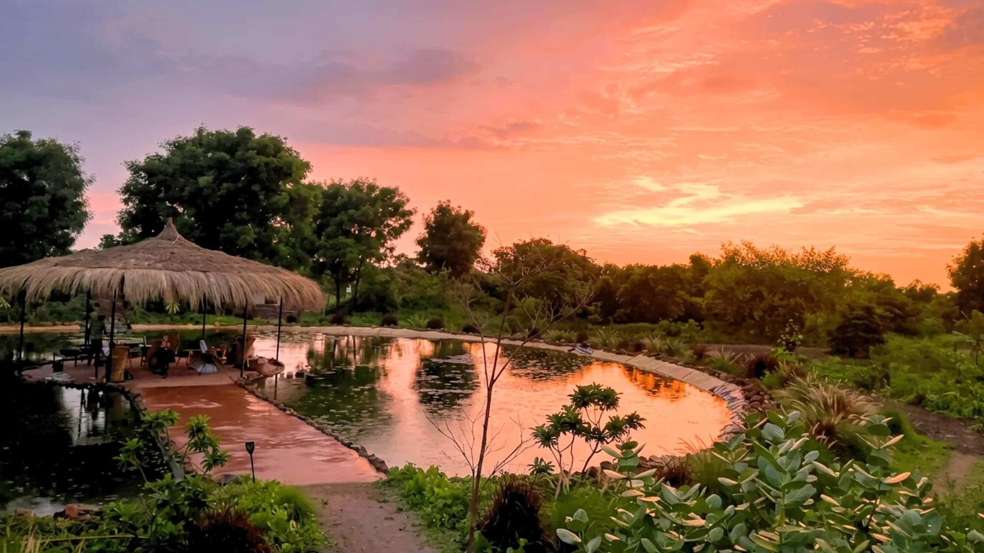 Dhyaana Farms