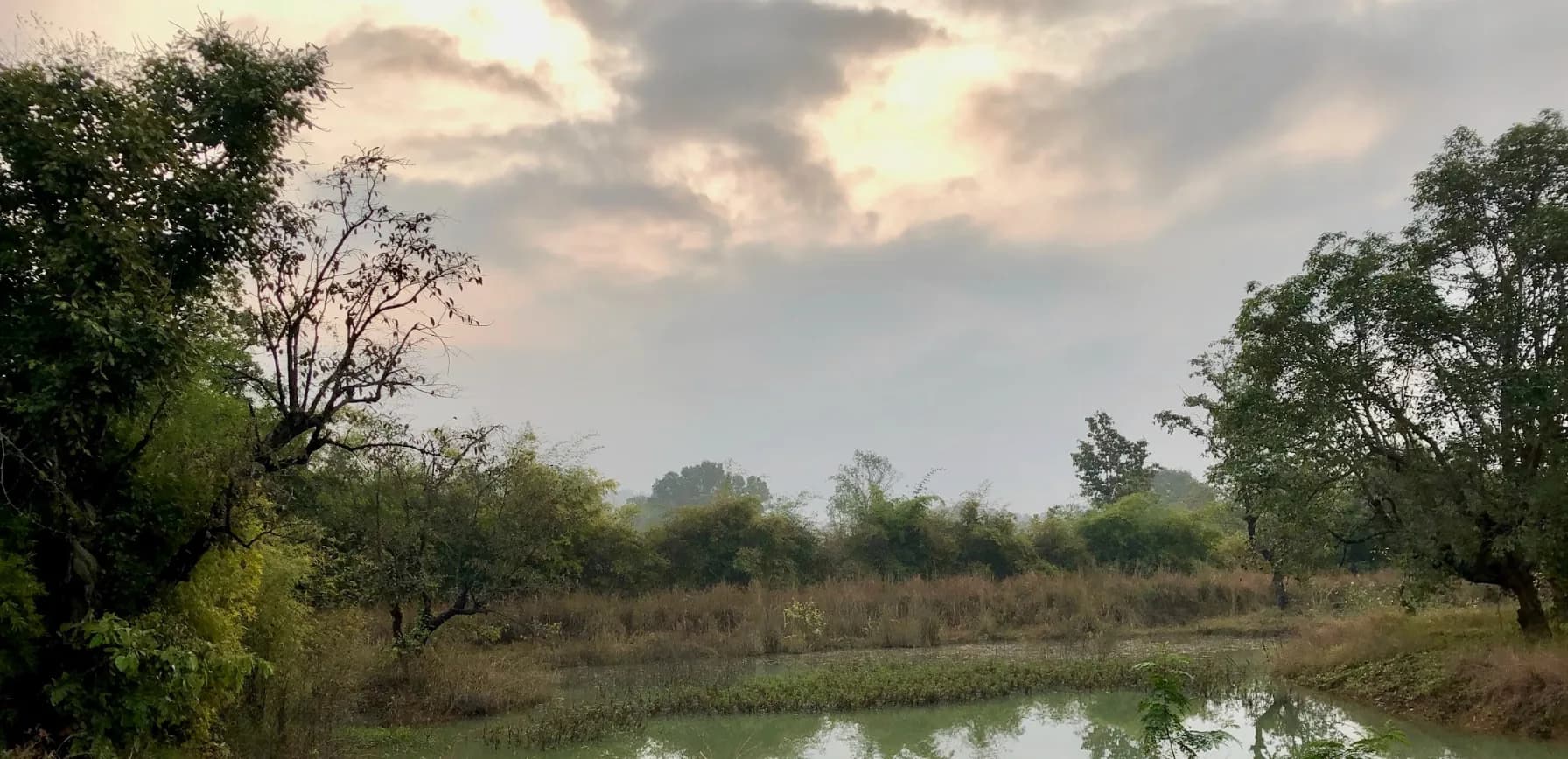 Bagh Villas | Kanha