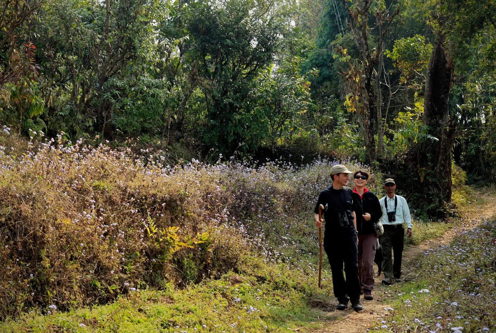 Tiger Mountain Pokhara Lodge