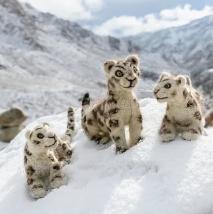 Snow Leopard Lodge