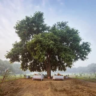 Mela Kothi - Chambal Safari Lodge, Jarar