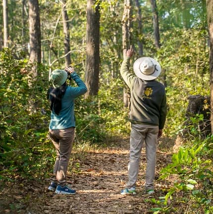 Jamtara Wilderness Camp