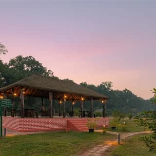 Camp TigerLily, Dudhwa TR