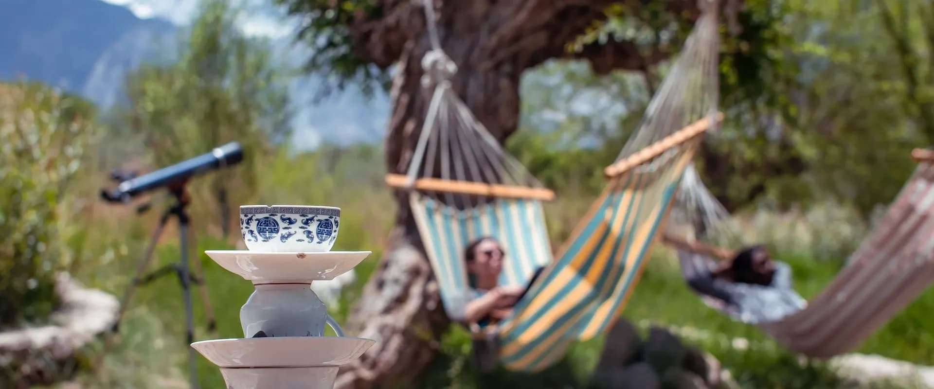 Facilities Hammock