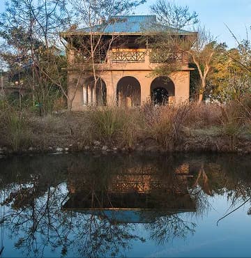 Jungle Lodge