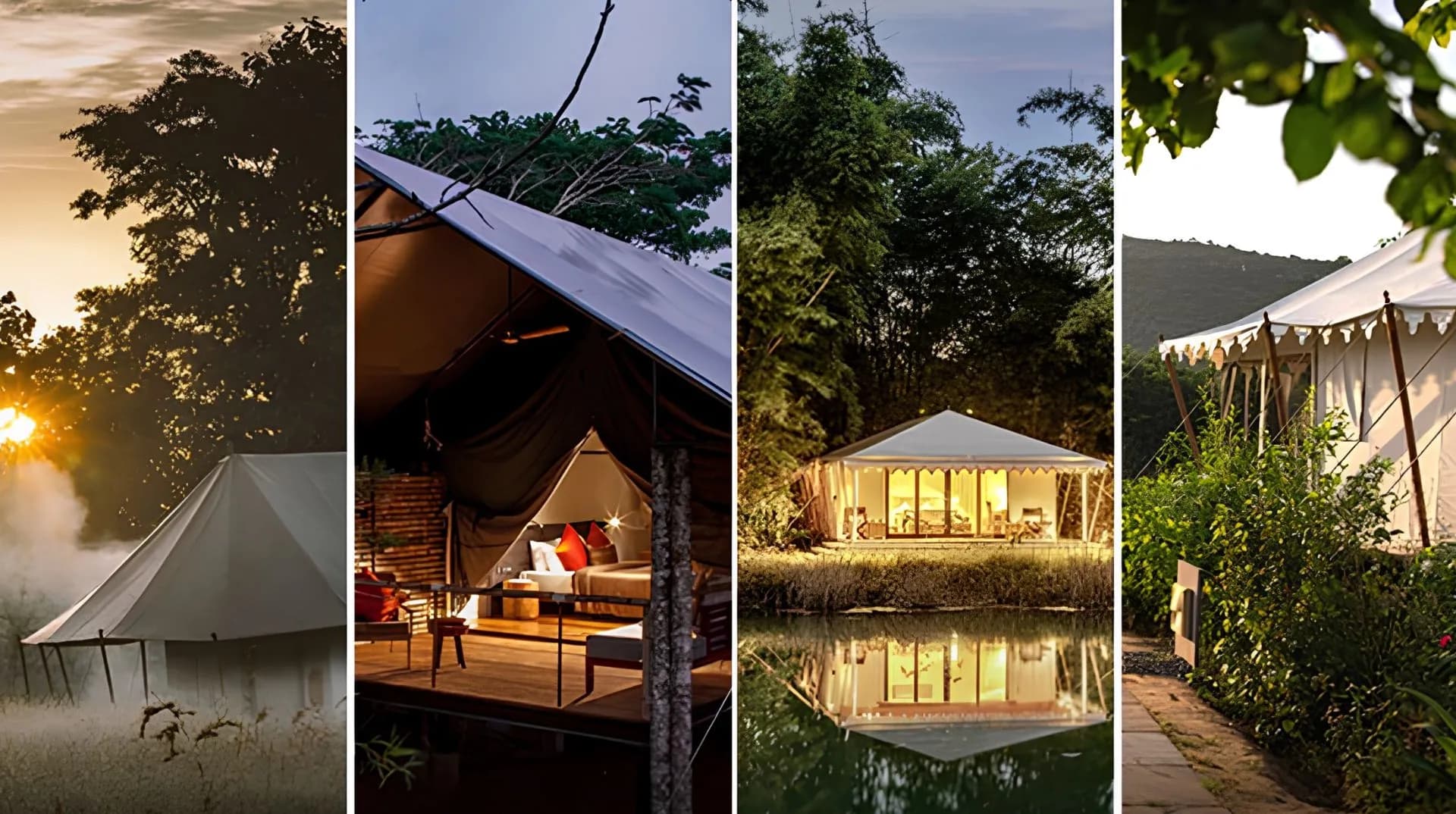 gINKgo I The RARE Newsletter I Forest Stays and Design I Vol 116 I December 2025