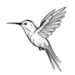 Birding