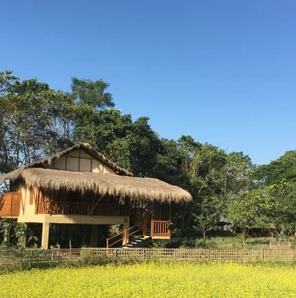 Cottage