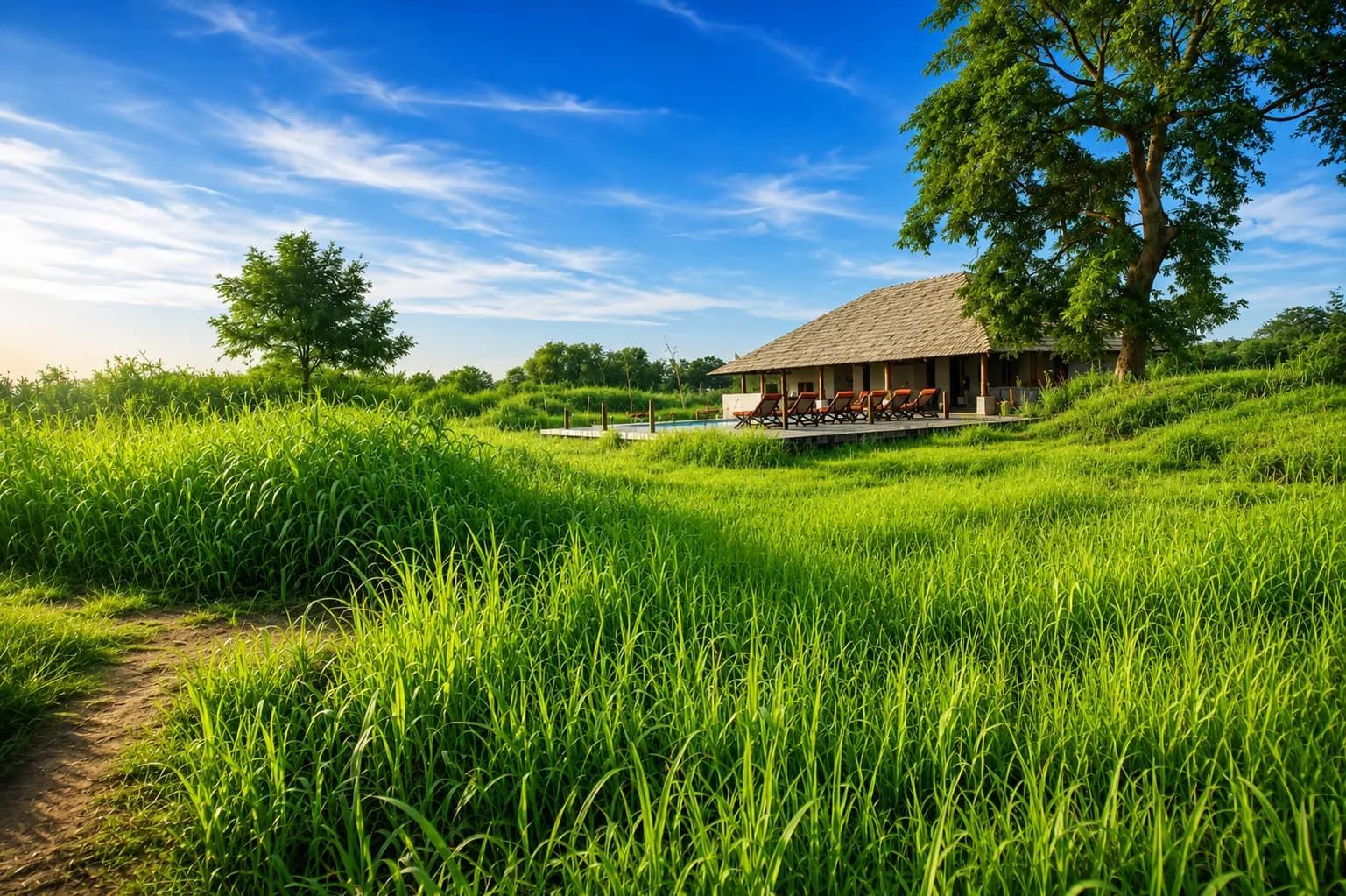 Svasara Jungle Lodge