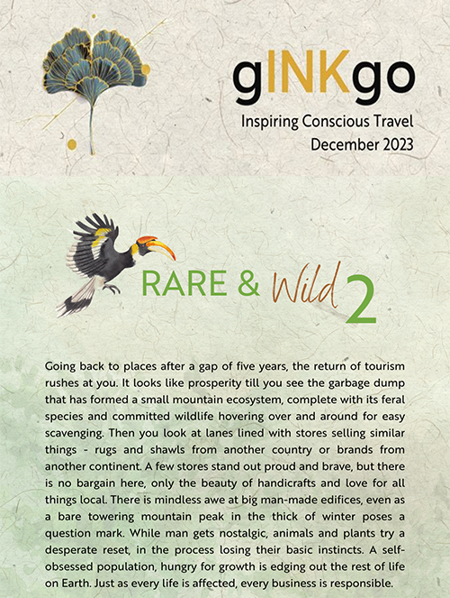 gINKgo I The RARE Newsletter | RARE & Wild - Part 2 | Vol 91 | Dec 2023 