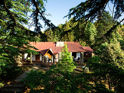 Shinrin-Yoku : Forest bathing @ RARE Lodges and Retreats