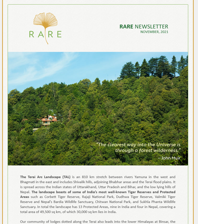 RARE Newsletter | Friends of the Forest, Part 2 | Vol 46 | Nov 2021