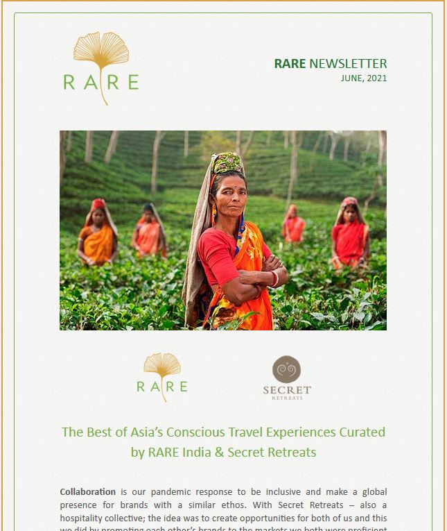 gINKgo I RARE Newsletter | Vol 38 | Richer Discoveries and Intimate Experiences in Asia with Secret 
