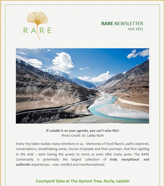 gINKgo I RARE Newsletter | Vol 39 | A Conscious Tapping Into Our Senses